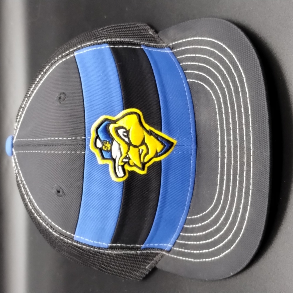 Sioux Falls Canaries Snapback Hat